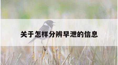 关于怎样分辨早泄的信息