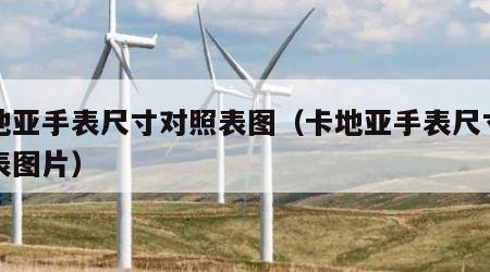 卡地亚手表尺寸对照表图（卡地亚手表尺寸对照表图片）