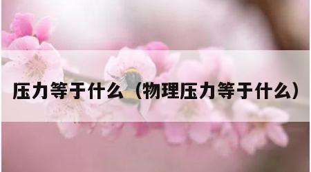 压力等于什么（物理压力等于什么）