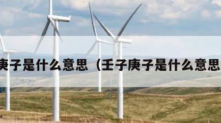 庚子是什么意思（壬子庚子是什么意思）