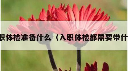 入职体检准备什么（入职体检都需要带什么）