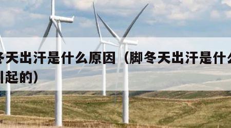 脚冬天出汗是什么原因（脚冬天出汗是什么原因引起的）