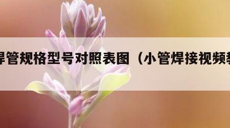 小焊管规格型号对照表图（小管焊接视频教程）