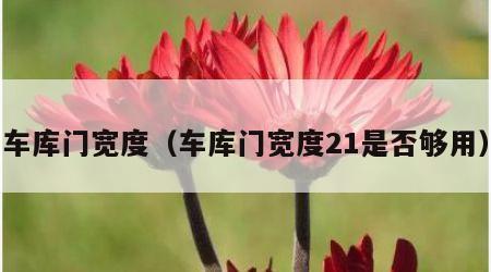 车库门宽度（车库门宽度21是否够用）