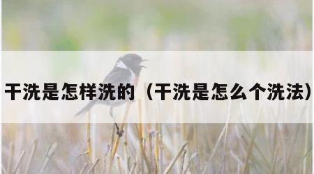 干洗是怎样洗的（干洗是怎么个洗法）