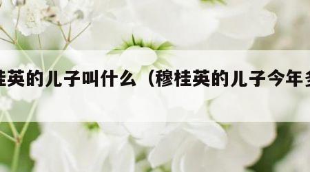 穆桂英的儿子叫什么（穆桂英的儿子今年多大了）