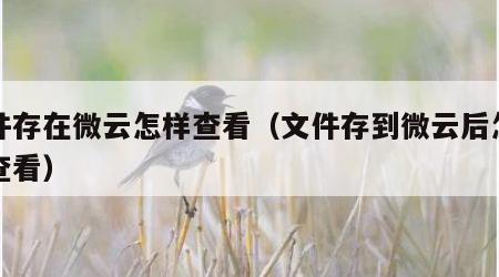 文件存在微云怎样查看（文件存到微云后怎样查查看）
