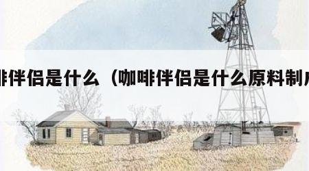 咖啡伴侣是什么（咖啡伴侣是什么原料制成的）