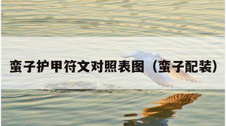 蛮子护甲符文对照表图（蛮子配装）