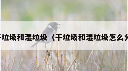 干垃圾和湿垃圾（干垃圾和湿垃圾怎么分）