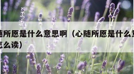 心随所愿是什么意思啊（心随所愿是什么意思啊怎么读）