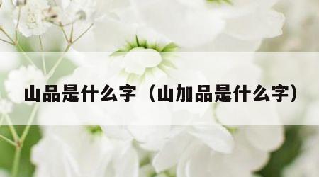 山品是什么字（山加品是什么字）