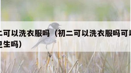 初二可以洗衣服吗（初二可以洗衣服吗可以打扫卫生吗）