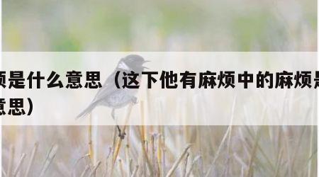 麻烦是什么意思（这下他有麻烦中的麻烦是什么意思）