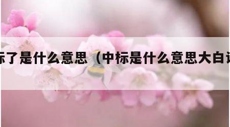 中标了是什么意思（中标是什么意思大白话解释）