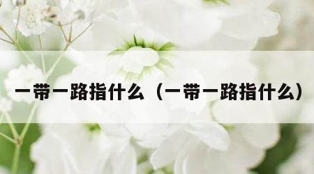 一带一路指什么（一带一路指什么）