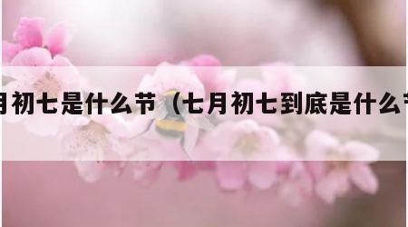 七月初七是什么节（七月初七到底是什么节日）