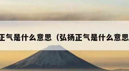 正气是什么意思（弘扬正气是什么意思）