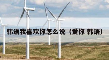 韩语我喜欢你怎么说（爱你 韩语）