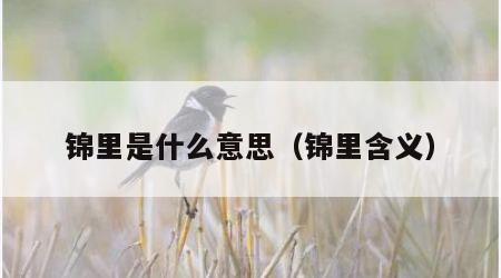 锦里是什么意思（锦里含义）