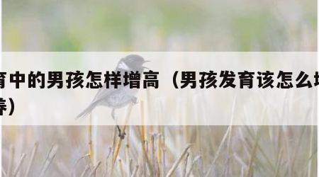 发育中的男孩怎样增高（男孩发育该怎么增加营养）