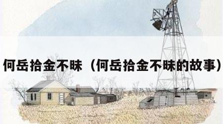 何岳拾金不昧（何岳拾金不昧的故事）