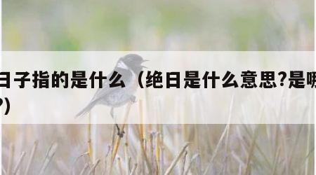 绝日子指的是什么（绝日是什么意思?是哪几天?）
