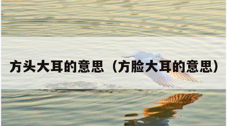 方头大耳的意思（方脸大耳的意思）