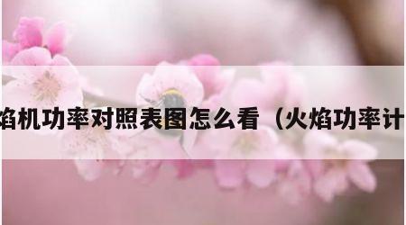 火焰机功率对照表图怎么看（火焰功率计算）