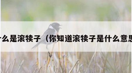 什么是滚犊子（你知道滚犊子是什么意思）
