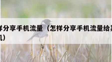 怎样分享手机流量（怎样分享手机流量给其他手机）