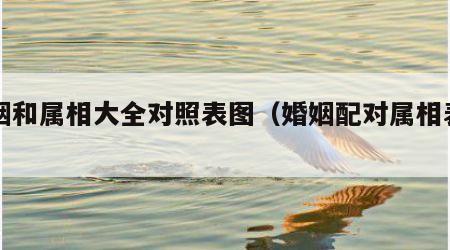 婚姻和属相大全对照表图（婚姻配对属相表口诀）