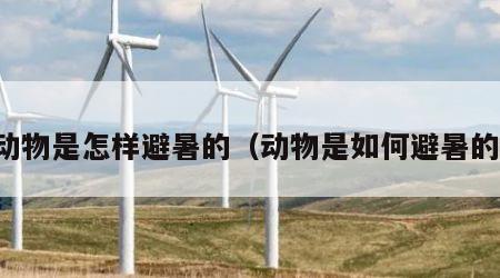 动物是怎样避暑的（动物是如何避暑的）