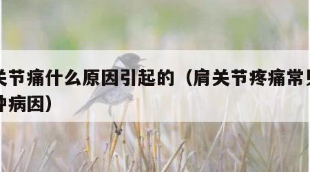肩关节痛什么原因引起的（肩关节疼痛常见的两种病因）