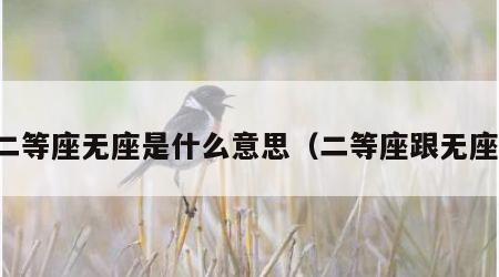 二等座无座是什么意思（二等座跟无座）