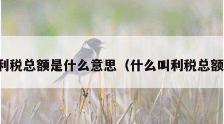 利税总额是什么意思（什么叫利税总额）