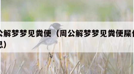 周公解梦梦见粪便（周公解梦梦见粪便屎什么意思）