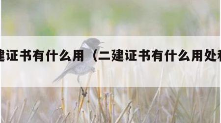 二建证书有什么用（二建证书有什么用处和用途）