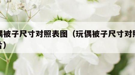 玩偶被子尺寸对照表图（玩偶被子尺寸对照表图片）