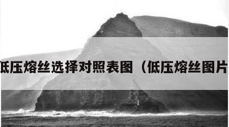 低压熔丝选择对照表图（低压熔丝图片）