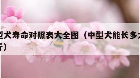 中型犬寿命对照表大全图（中型犬能长多大多少斤）