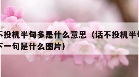 话不投机半句多是什么意思（话不投机半句多的下一句是什么图片）