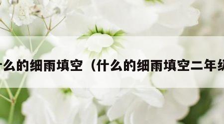 什么的细雨填空（什么的细雨填空二年级）