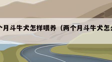 两个月斗牛犬怎样喂养（两个月斗牛犬怎么喂养）
