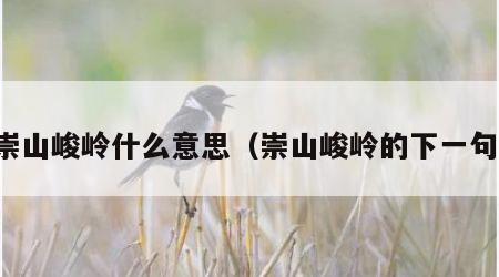 崇山峻岭什么意思（崇山峻岭的下一句）