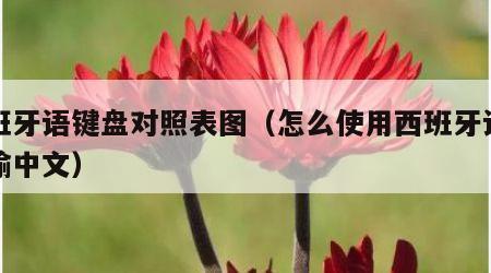 西班牙语键盘对照表图（怎么使用西班牙语键盘输中文）