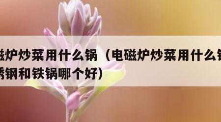 电磁炉炒菜用什么锅（电磁炉炒菜用什么锅好不锈钢和铁锅哪个好）