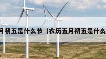 五月初五是什么节（农历五月初五是什么节）