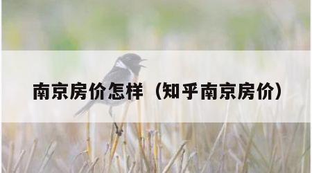 南京房价怎样（知乎南京房价）