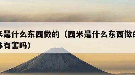 西米是什么东西做的（西米是什么东西做的对身体有害吗）